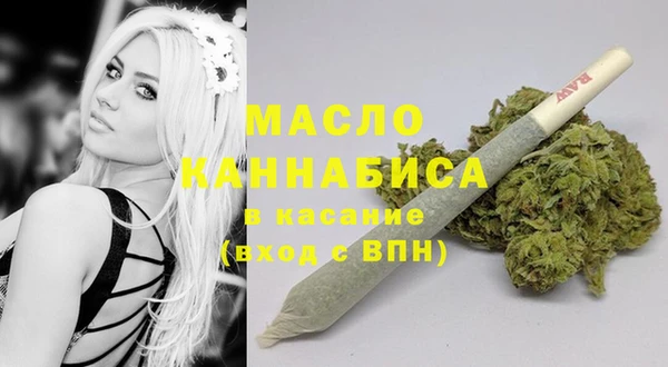 молекула духа Няндома