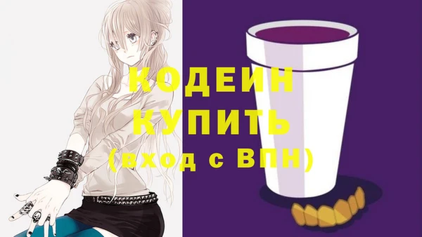 молекула духа Няндома