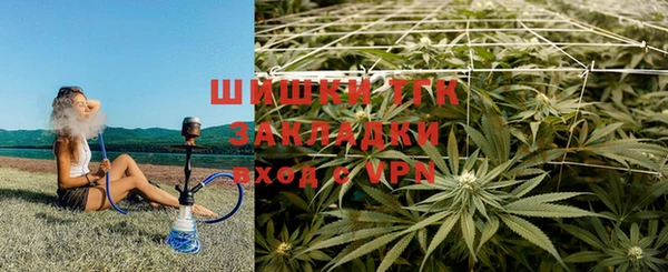 молекула духа Няндома